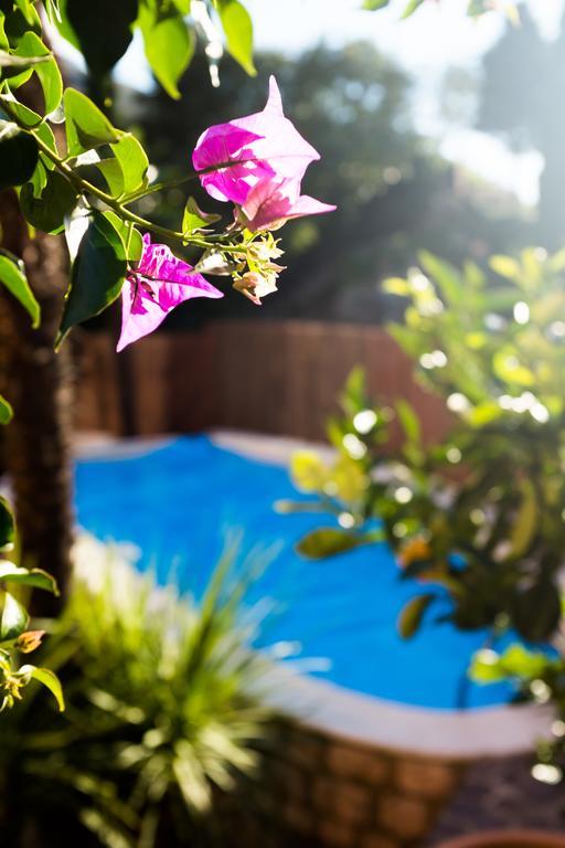 Fiore Holiday home Torbole Sul Garda